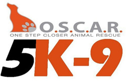 Shelter Campaign - OSCAR Animal Rescue in Sparta, NJ