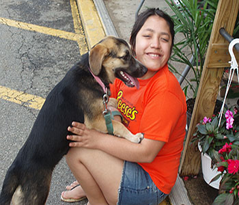 Meeting a dog at an OSCAR Pet Adoption Event, Newton, NJ